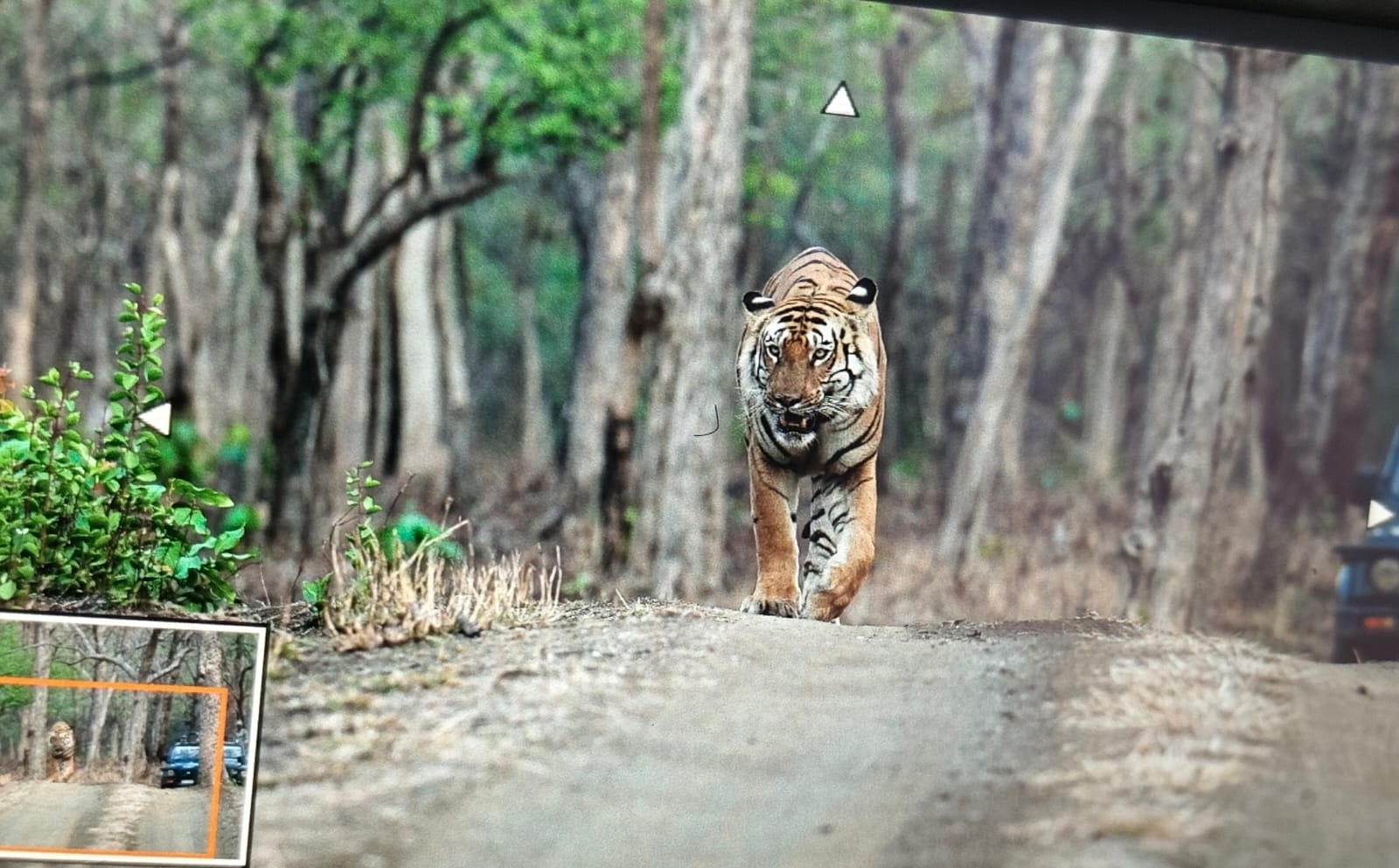 Group Safari Package