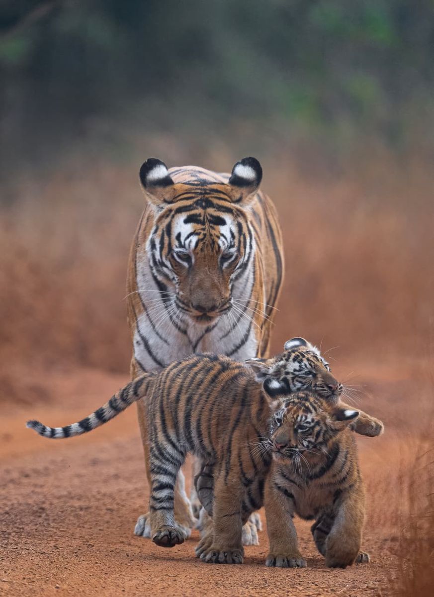Photography Expedition