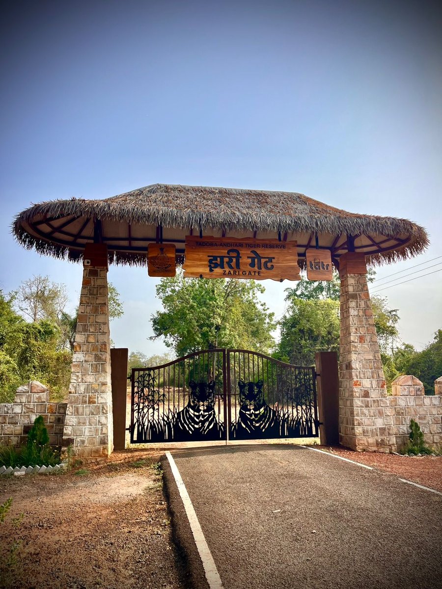 Zari Gate in the Tadoba region